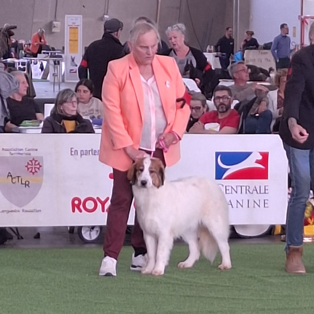 Vanina princess d'illouyou  De la foret de Montfort